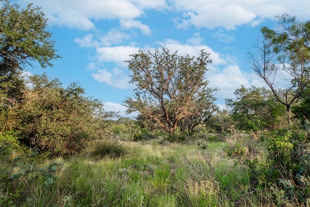 HWY87 Other, Eden, TX 76837 - photo 12