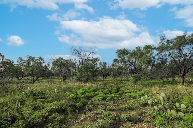HWY87 Other, Eden, TX 76837 - photo 35