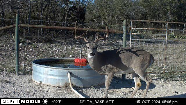HWY87 Other, Eden, TX 76837 - photo 59