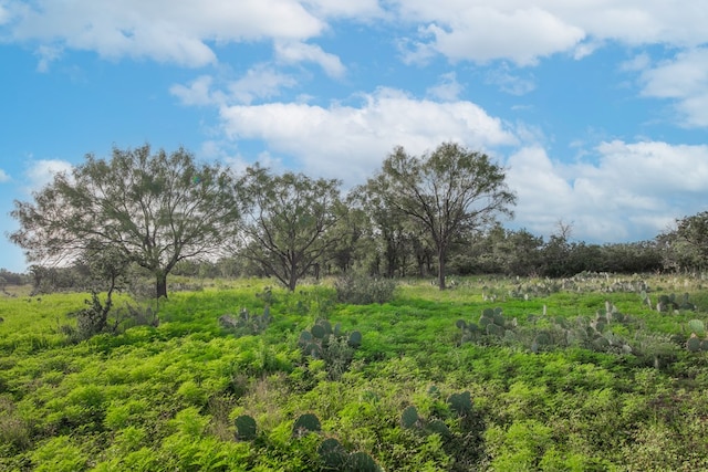 HWY87 Other, Eden, TX 76837 - photo 32