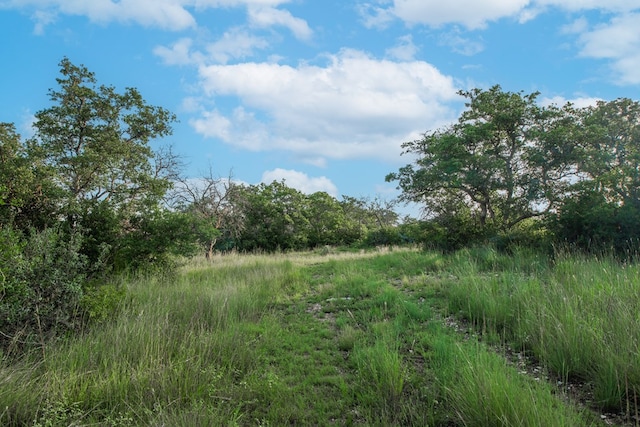 HWY87 Other, Eden, TX 76837 - photo 20