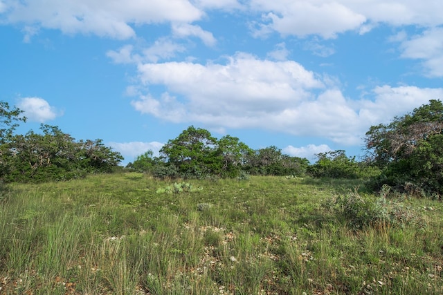 HWY87 Other, Eden, TX 76837 - photo 50
