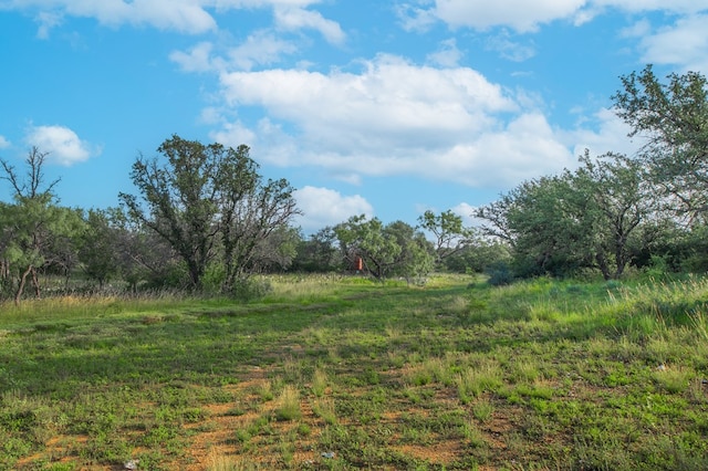 HWY87 Other, Eden, TX 76837 - photo 21