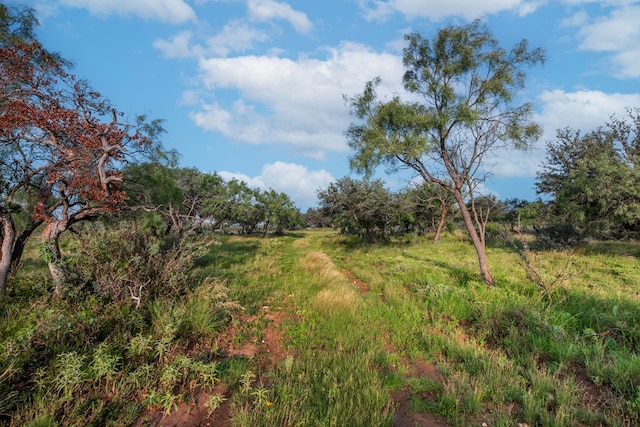 HWY87 Other, Eden, TX 76837 - photo 5