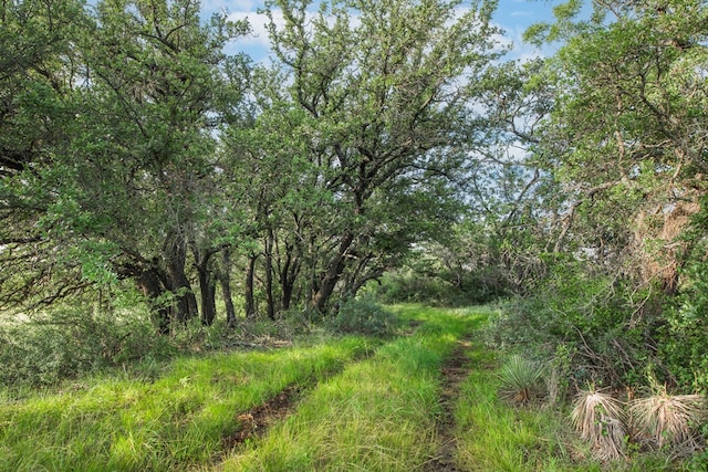 HWY87 Other, Eden, TX 76837 - photo 47