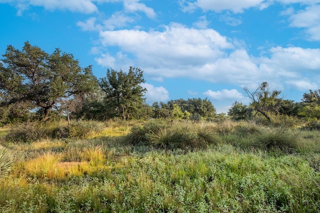 HWY87 Other, Eden, TX 76837 - photo 7