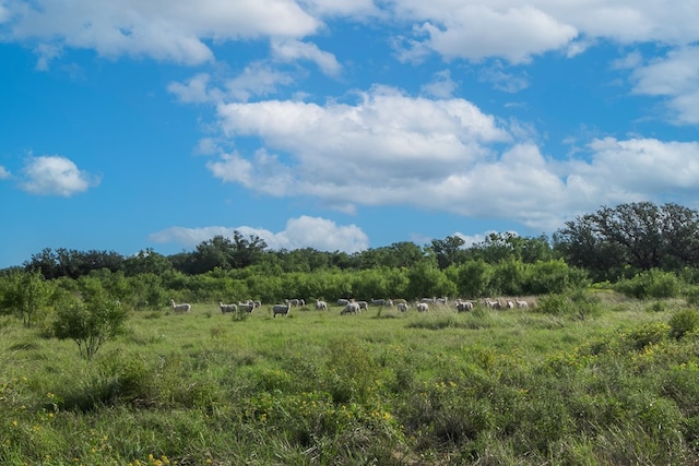 HWY87 Other, Eden, TX 76837 - photo 55