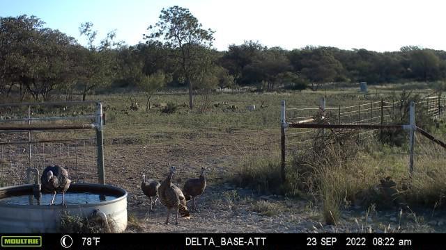 HWY87 Other, Eden, TX 76837 - photo 62