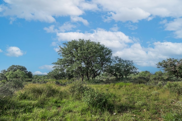 HWY87 Other, Eden, TX 76837 - photo 53