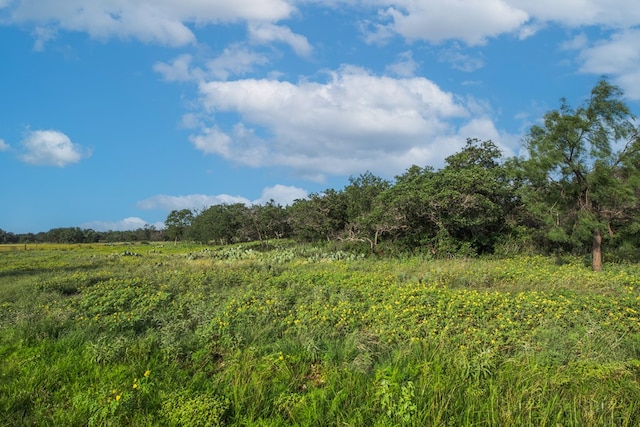 HWY87 Other, Eden, TX 76837 - photo 41