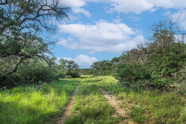 HWY87 Other, Eden, TX 76837 - photo 49