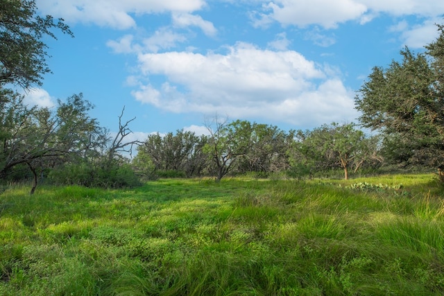 HWY87 Other, Eden, TX 76837 - photo 24