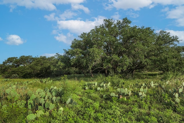 HWY87 Other, Eden, TX 76837 - photo 39