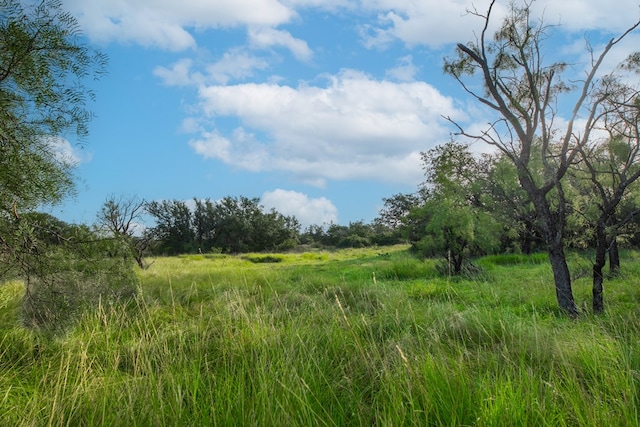 HWY87 Other, Eden, TX 76837 - photo 25