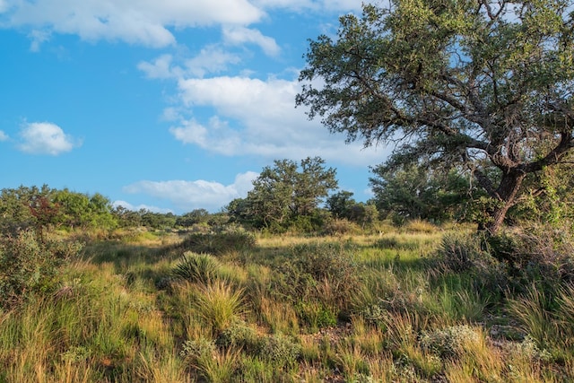 HWY87 Other, Eden, TX 76837 - photo 8