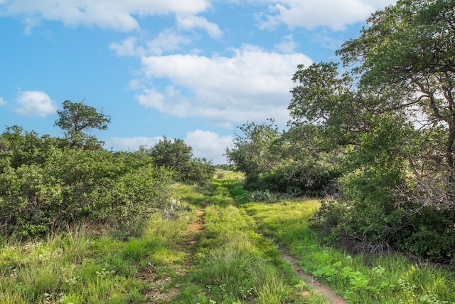HWY87 Other, Eden, TX 76837 - photo 45