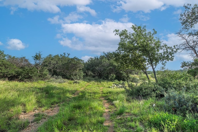 HWY87 Other, Eden, TX 76837 - photo 48