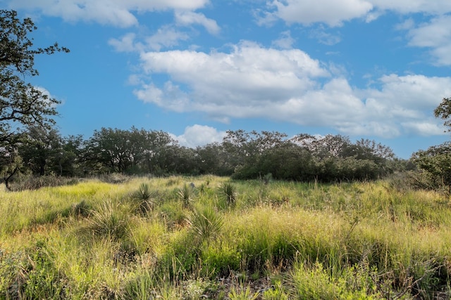 HWY87 Other, Eden, TX 76837 - photo 15