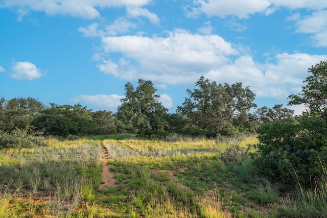 HWY87 Other, Eden, TX 76837 - photo 16