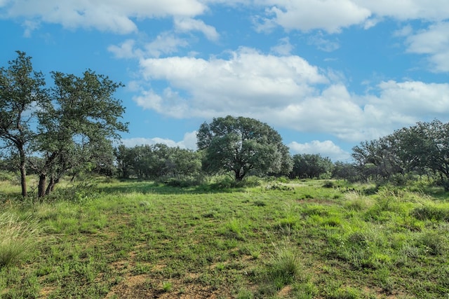 HWY87 Other, Eden, TX 76837 - photo 54