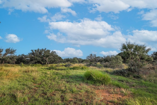 HWY87 Other, Eden, TX 76837 - photo 9