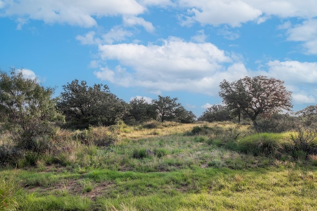 HWY87 Other, Eden, TX 76837 - photo 10