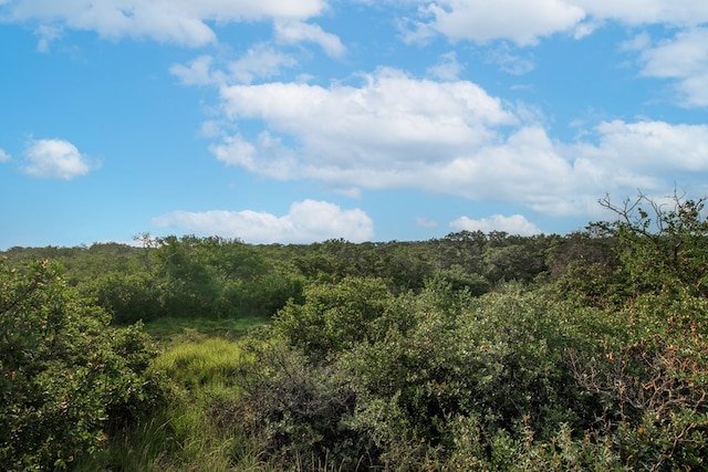 HWY87 Other, Eden, TX 76837 - photo 29