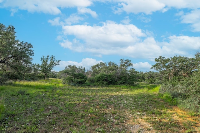 HWY87 Other, Eden, TX 76837 - photo 19