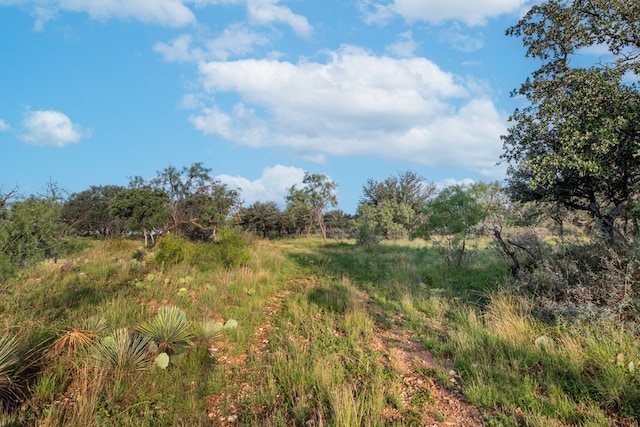 HWY87 Other, Eden, TX 76837 - photo 4