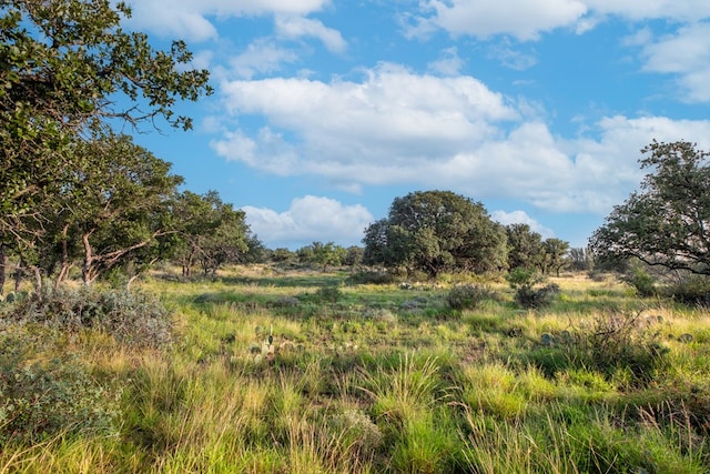 HWY87 Other, Eden, TX 76837 - photo 3