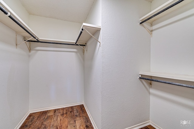 walk in closet with wood-type flooring