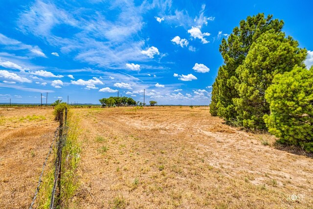 view of yard featuring a rural view