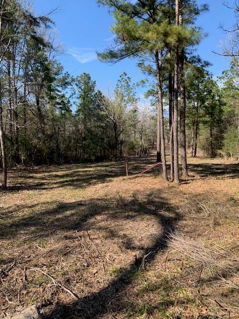 TBD E Fm 942, Leggett, TX 77350 - photo 1