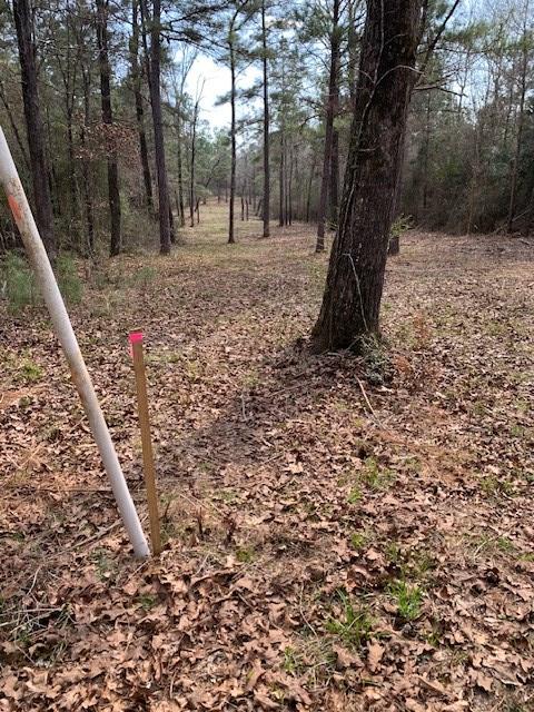 TBD E Fm 942, Leggett, TX 77350 - photo 3