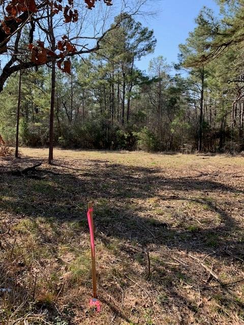 TBD E Fm 942, Leggett, TX 77350 - photo 2