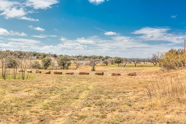 view of local wilderness featuring a rural view