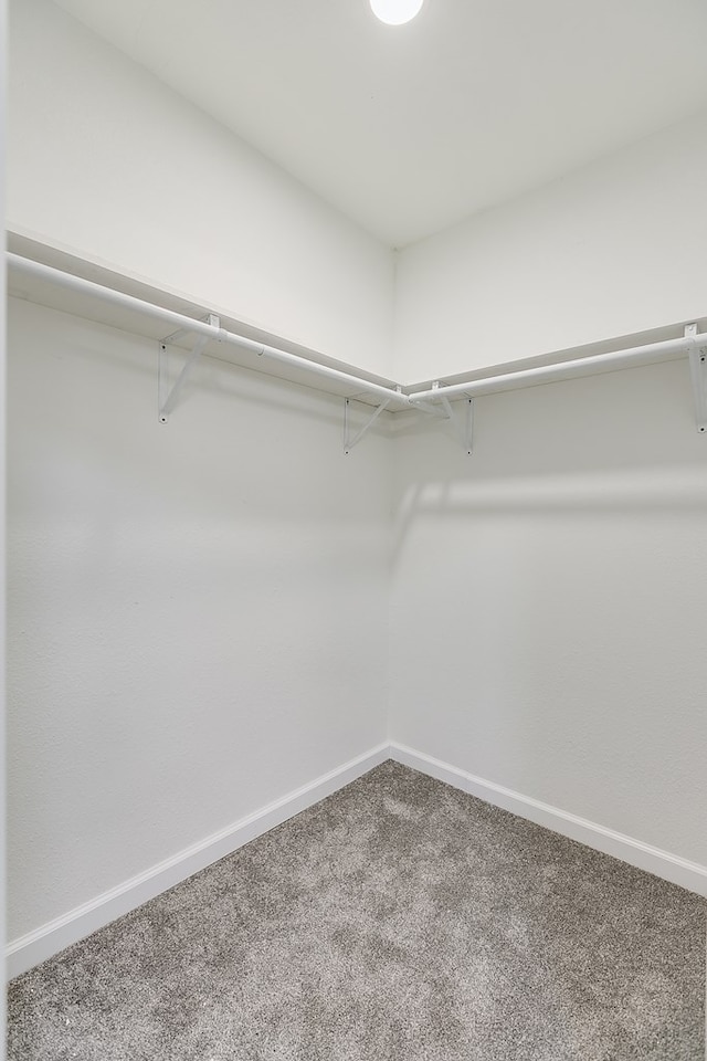 spacious closet with carpet floors