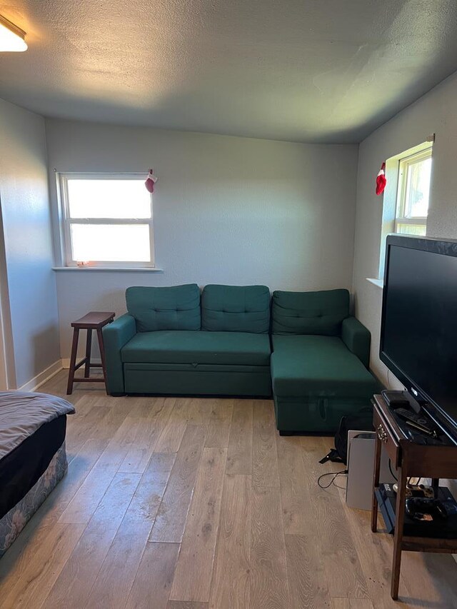 living area with a textured ceiling and wood-type flooring