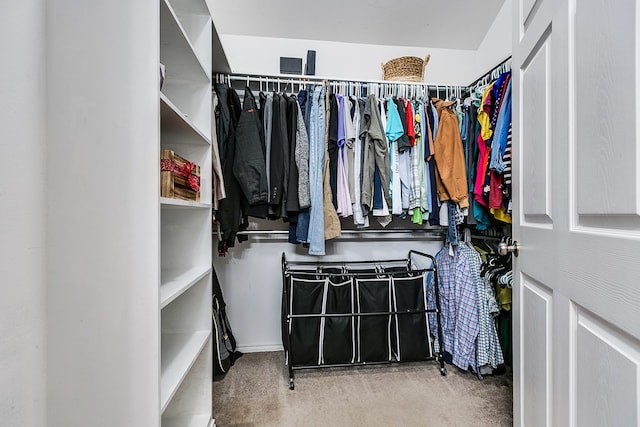 walk in closet with carpet flooring