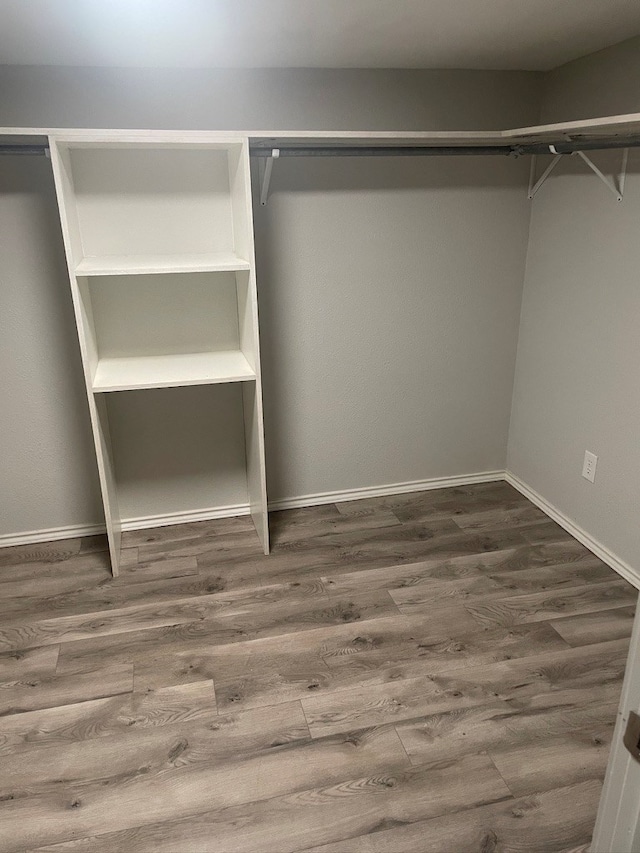 walk in closet featuring dark wood-type flooring