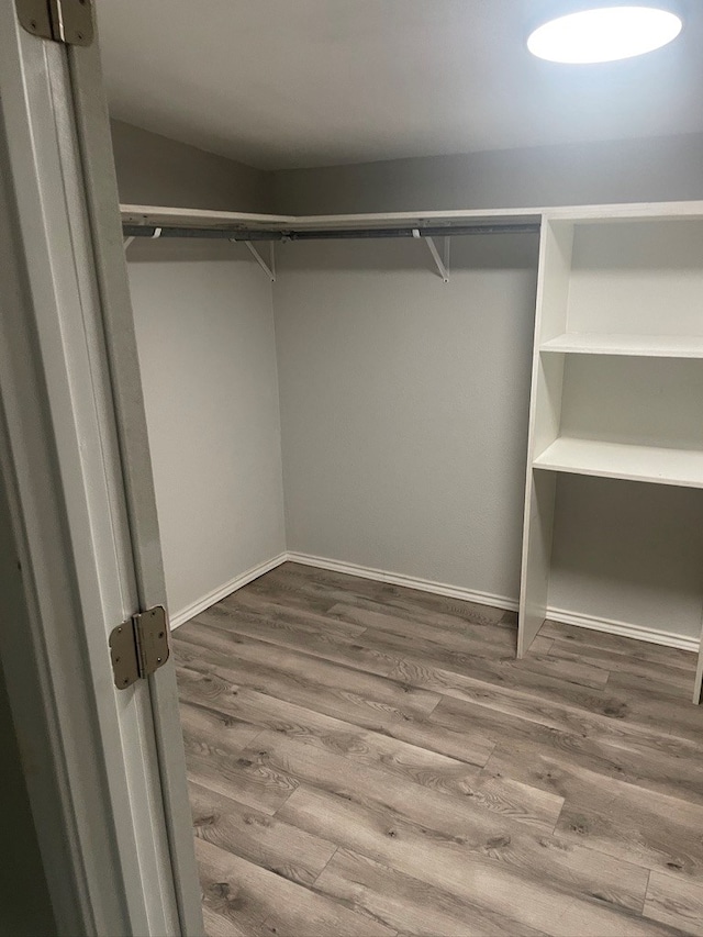 walk in closet with wood-type flooring