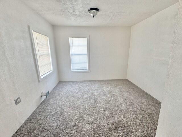 spare room with carpet floors