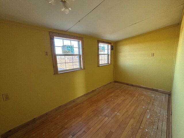 empty room featuring wood-type flooring