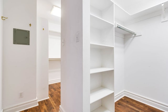 walk in closet featuring dark wood-type flooring and electric panel