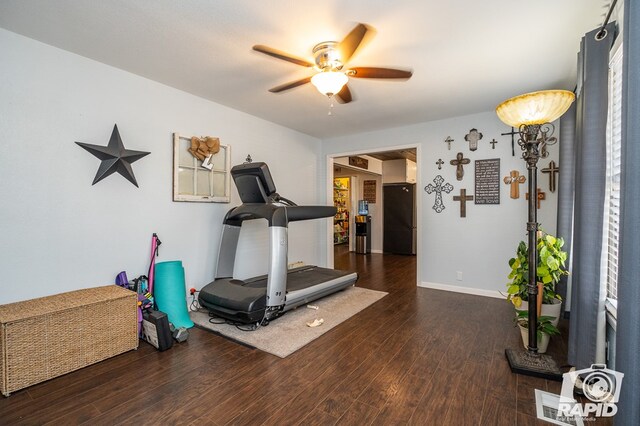 workout room featuring dark hardwood / wood-style floors and ceiling fan