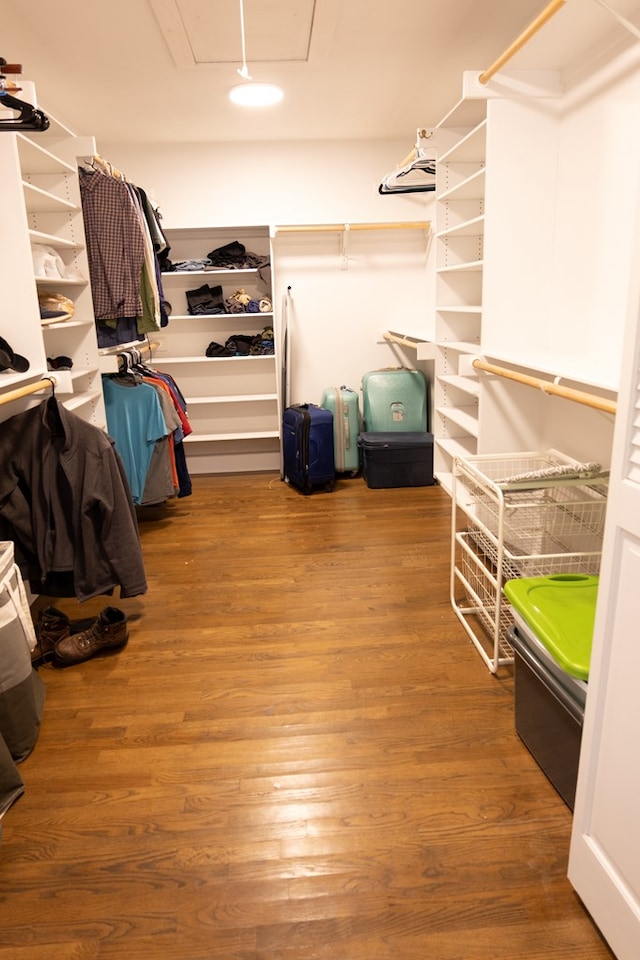1510 Shafter St, San Angelo, TX 76901 - walk in closet with wood finished floors