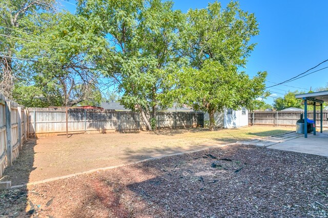 view of yard featuring a patio area and a shed