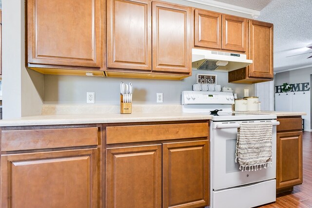 kitchen with hardwood / wood-style floors, a textured ceiling, and white range with electric stovetop