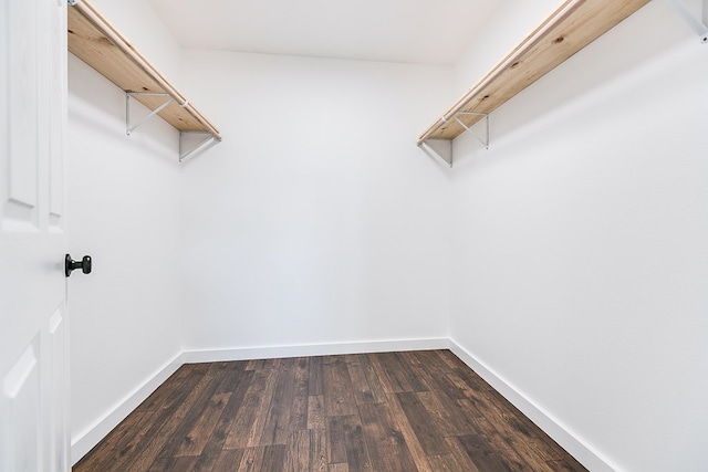 walk in closet featuring dark wood finished floors