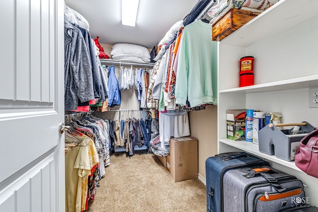 walk in closet with light carpet